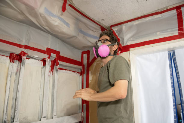 Trusted Colton, CA Mold Removal Experts