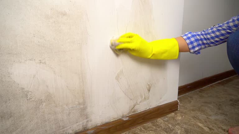 Best Mold-Related Health Consultation  in Colton, CA